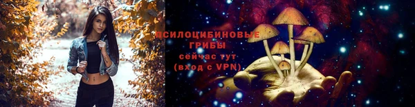 хмурый Орехово-Зуево